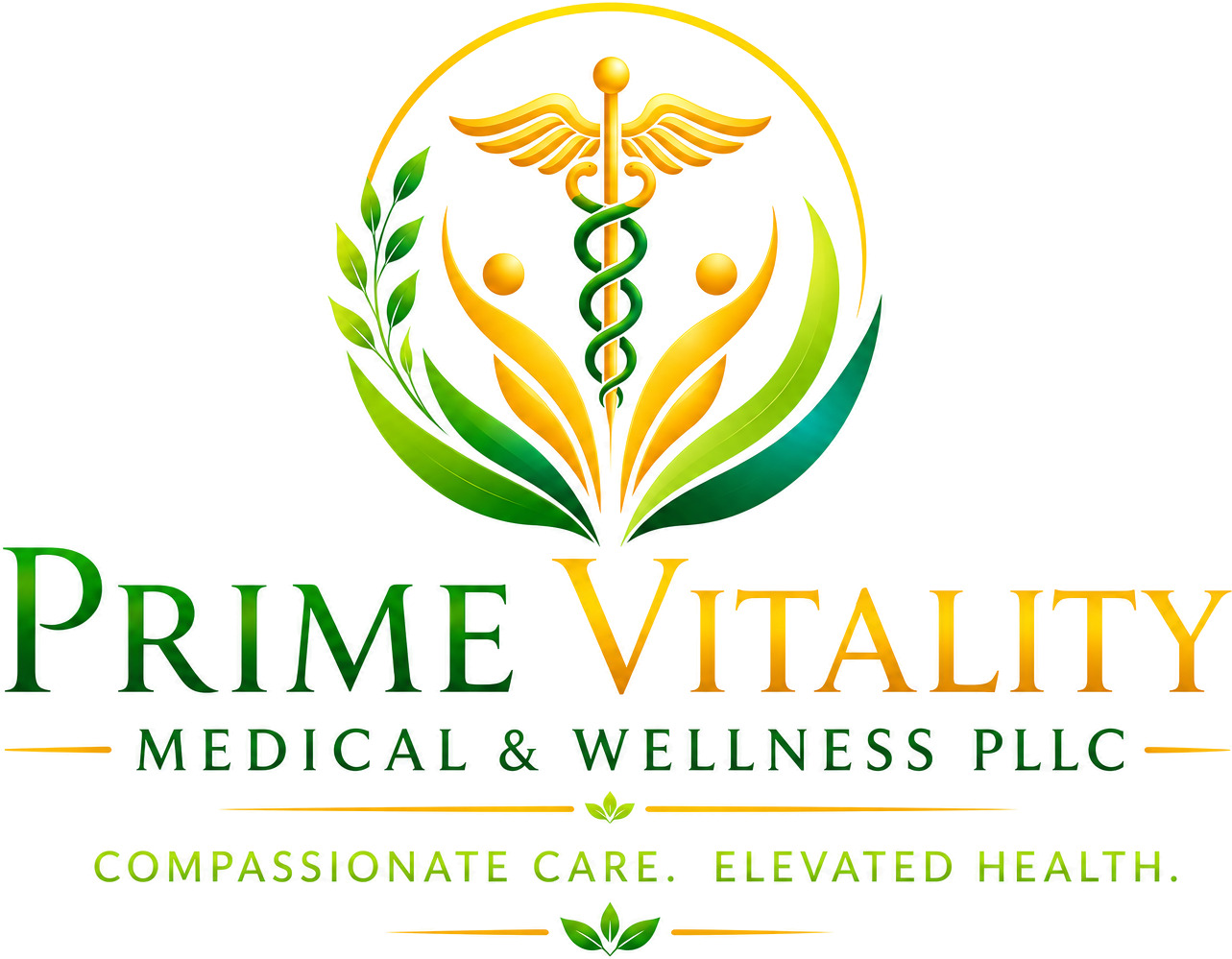Prime Vitality Medical & Wellness PLLC approved original logo